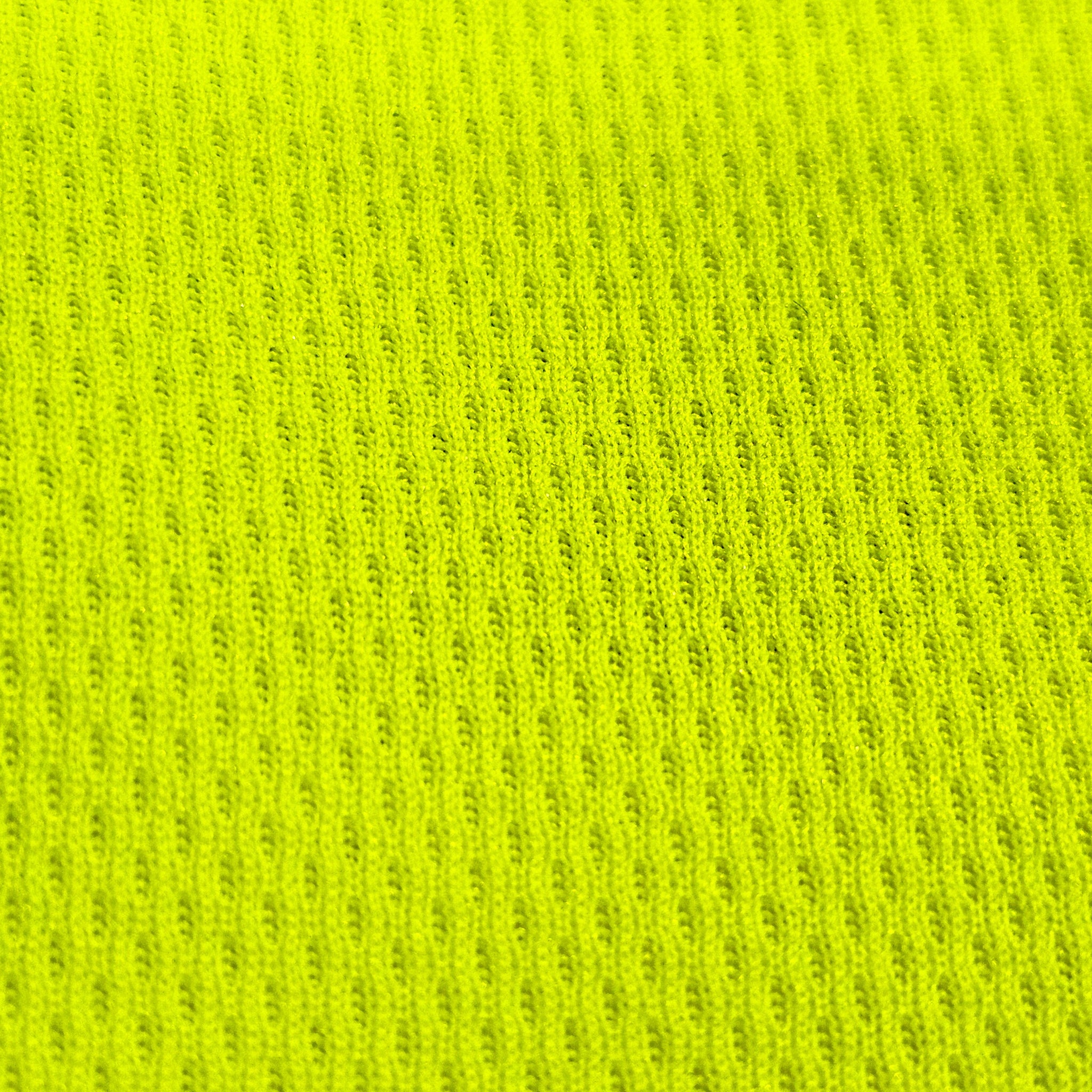 birdseyeclose-up_2048x.jpg?v=